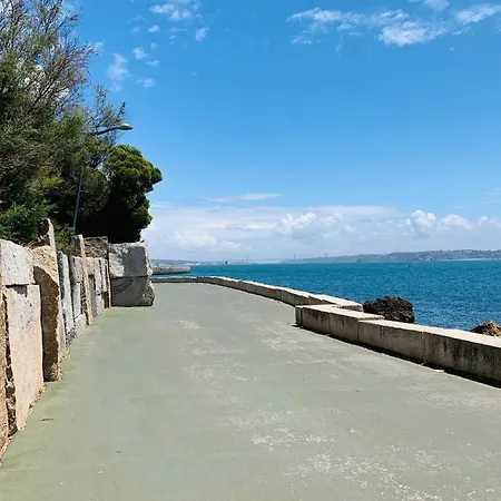 The Near The In Oeiras *
